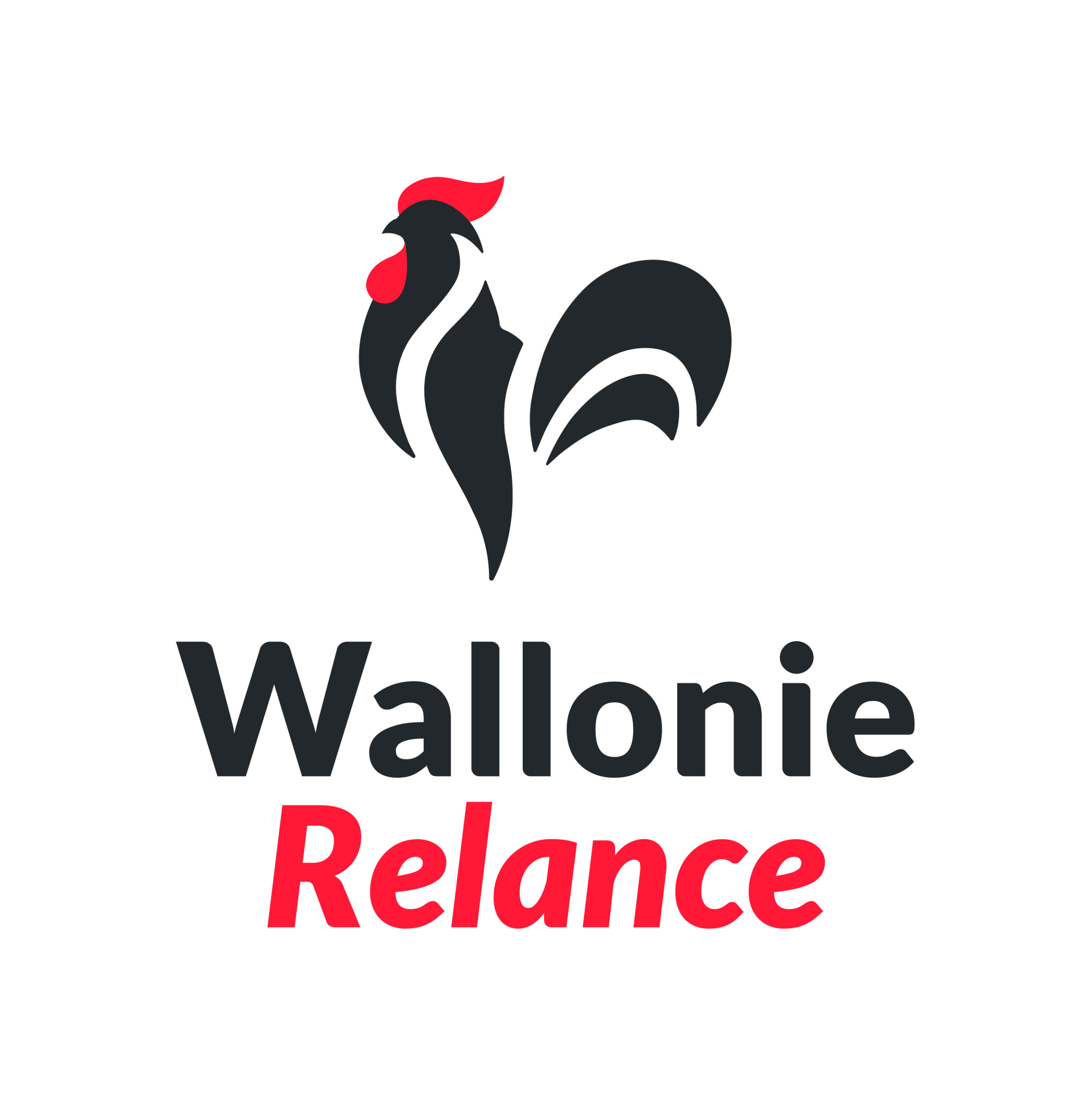 Plan de relance de la Wallonie logo